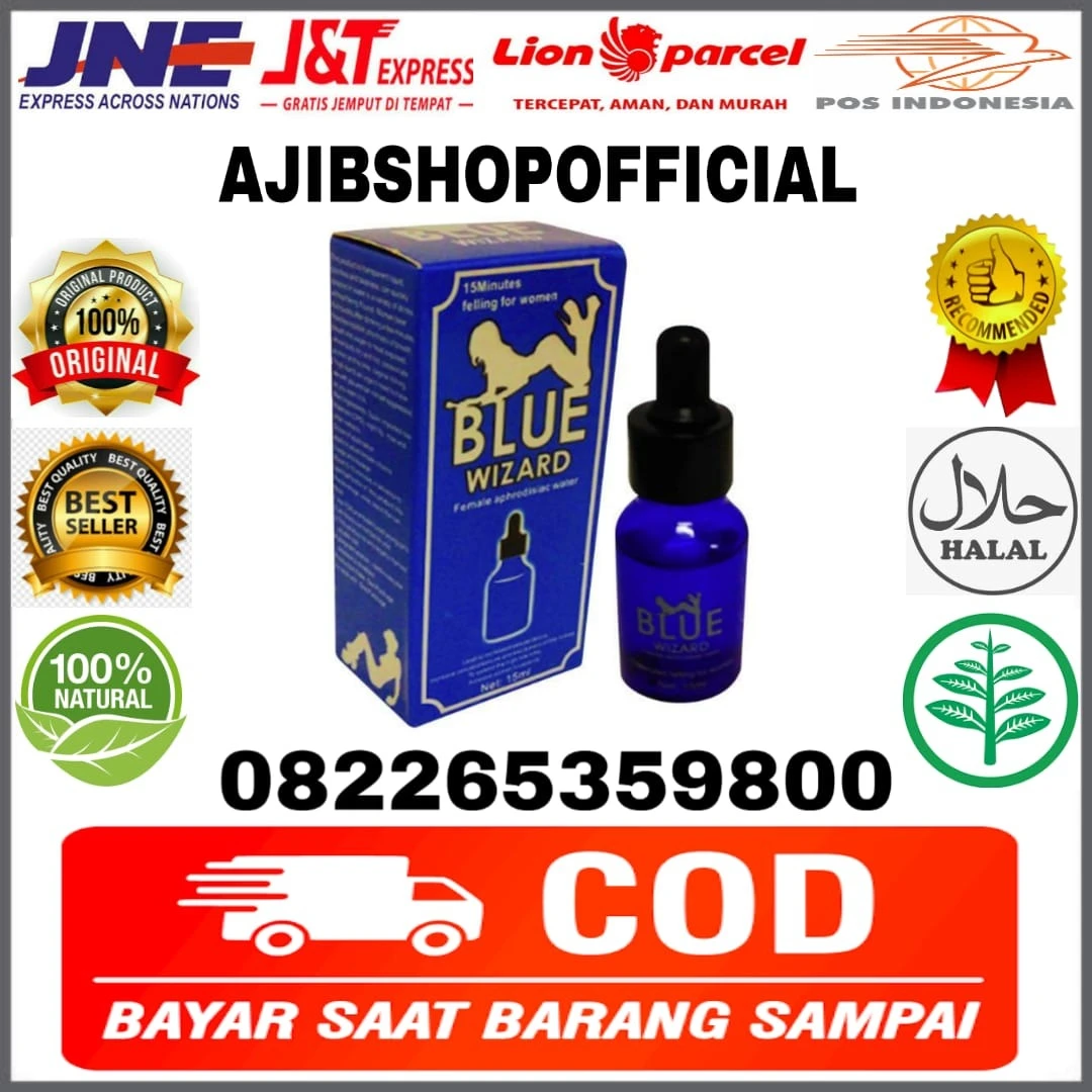 Blue Wizard Banda Aceh